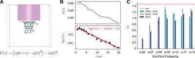 Local Ion Densities can Influence Transition Paths of Molecular Binding